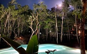 Casa Arkaana Eco Retreat